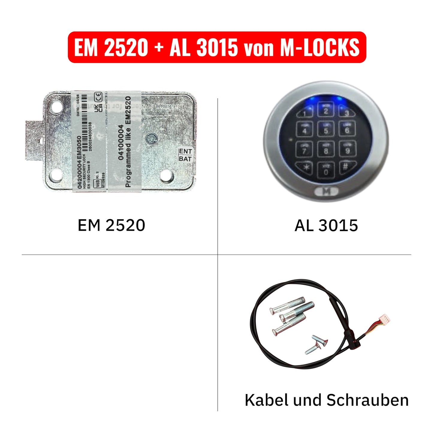 KOMPLETTSET EM2520 mit Eingabeeinheit von M-LOCKS