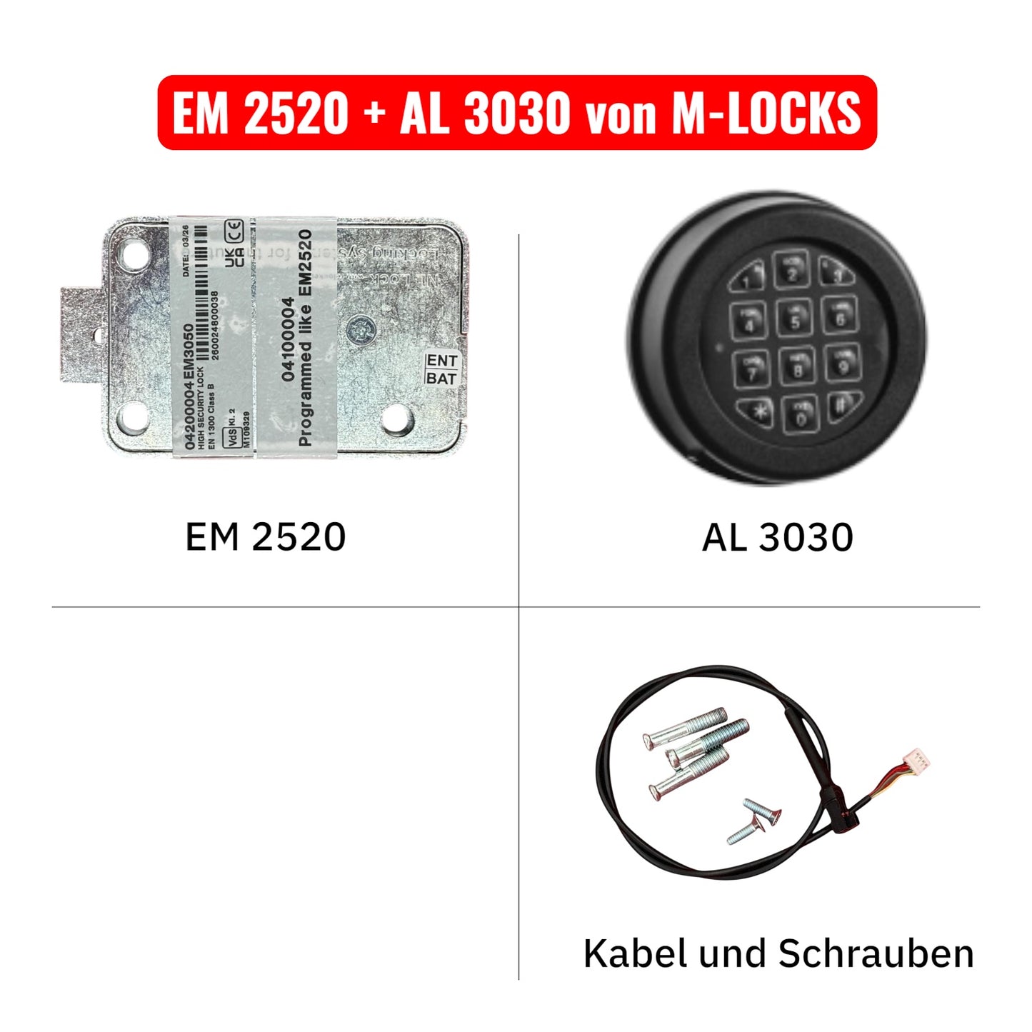 KOMPLETTSET EM2520 mit Eingabeeinheit von M-LOCKS