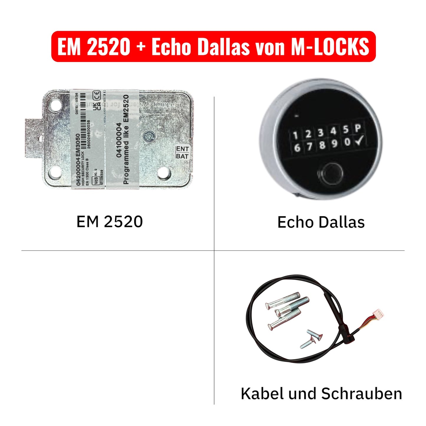 KOMPLETTSET EM2520 mit Eingabeeinheit von M-LOCKS
