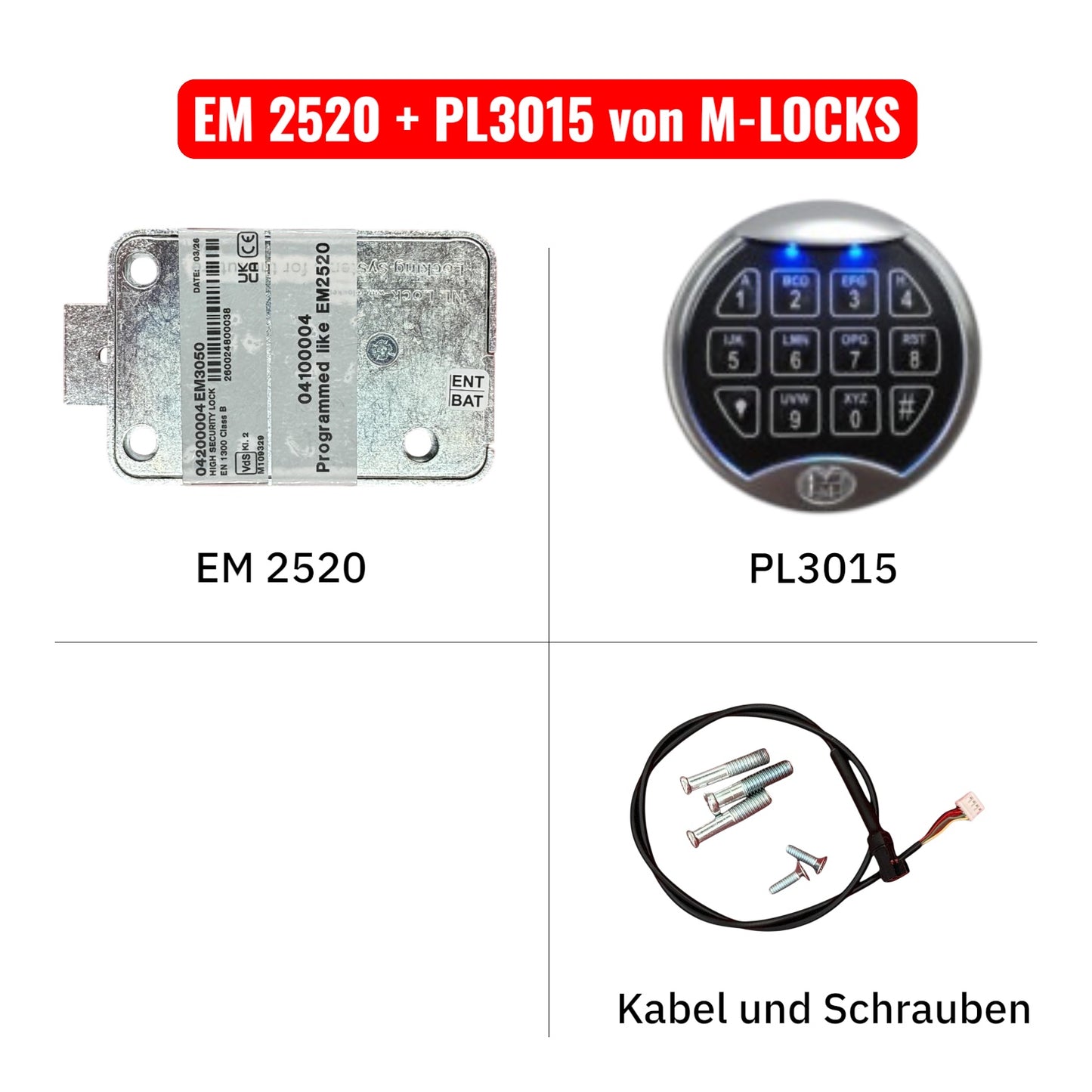 KOMPLETTSET EM2520 mit Eingabeeinheit von M-LOCKS